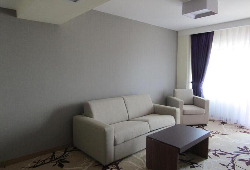 주니어 스위트 도시 전망, New Belvedere