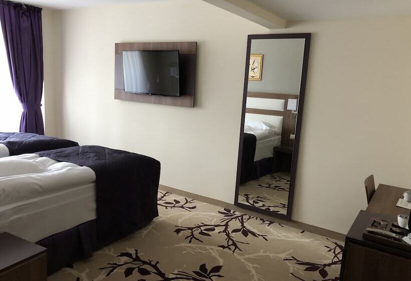 싱글 디럭스 룸, New Belvedere