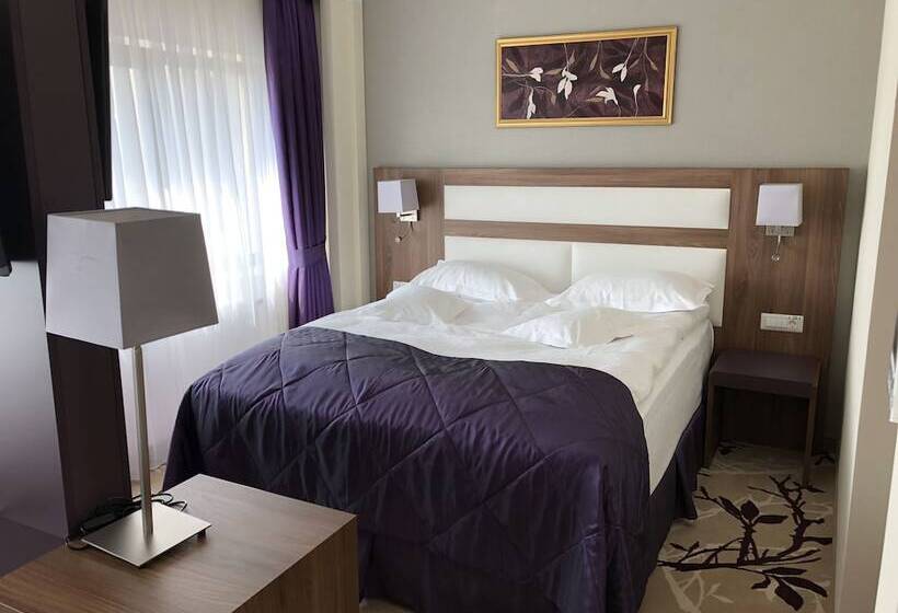 디럭스 스위트, New Belvedere