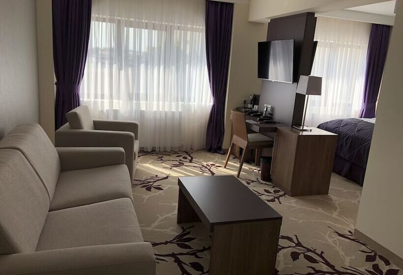 디럭스 스위트, New Belvedere