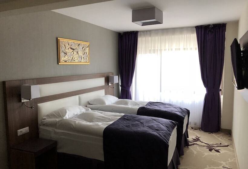 디럭스 룸 측면 바다 전망, New Belvedere