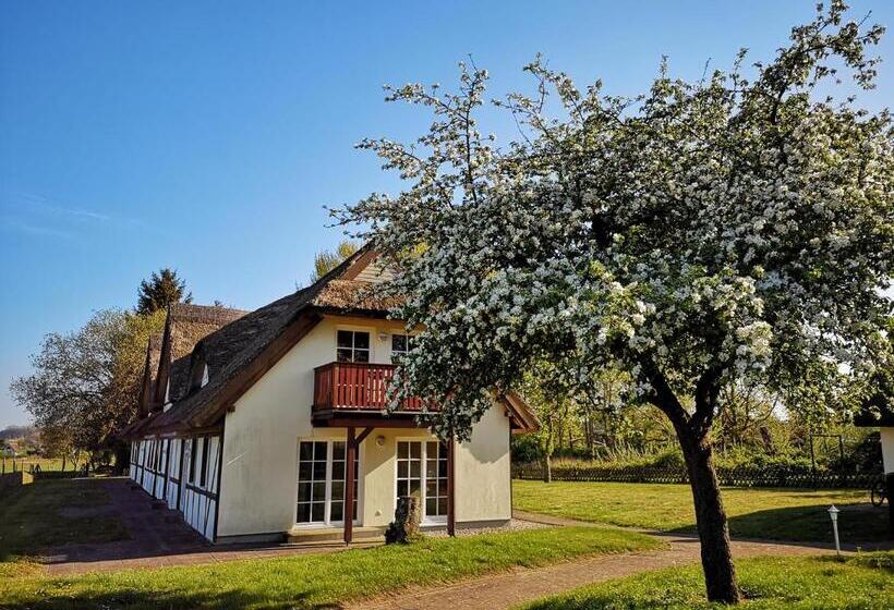 Апартаменты Superior 1 Спальня, Und Appartements Jägerhof Rügen