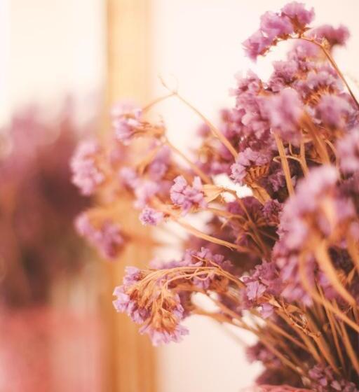 标准间, Bed & Breakfast Spigolatrice