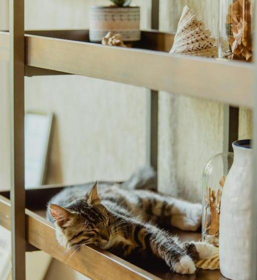 スイート(家族用), Carmen