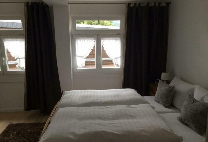 高级大房间, Haus Mühlbach