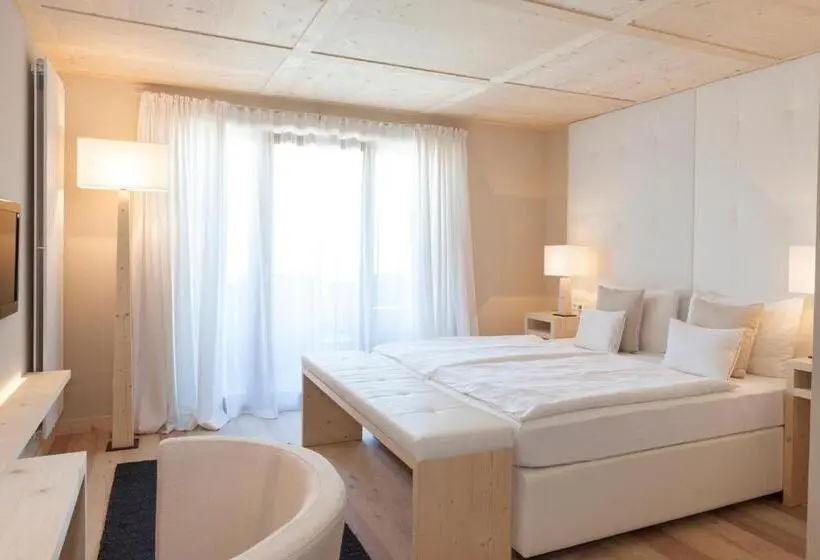 Comfort-huone, Mayr