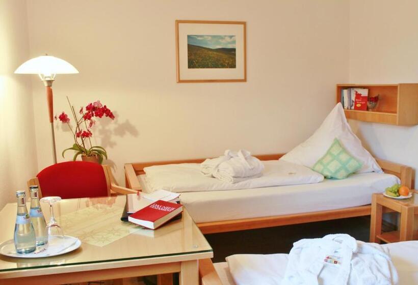 غرفة قياسية فردية, Witikohof