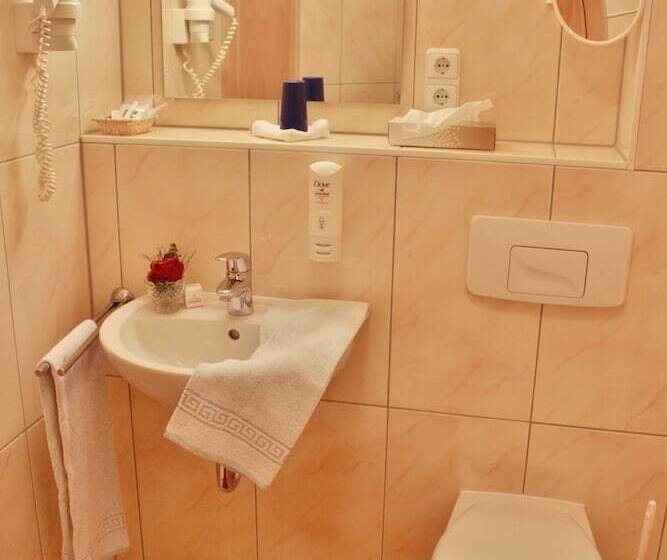 غرفة قياسية فردية, Witikohof