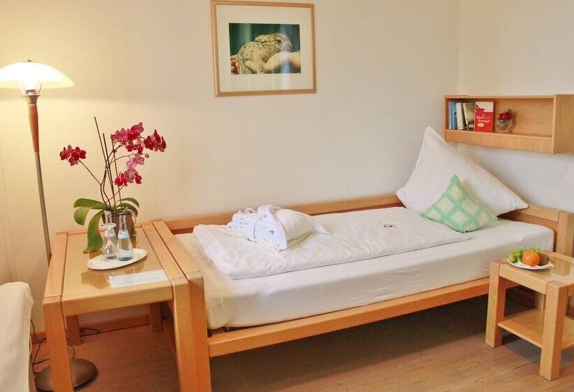 غرفة قياسية فردية, Witikohof