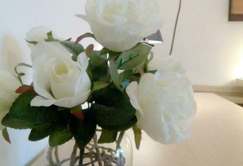 スタンダードルーム, B&b Salviani