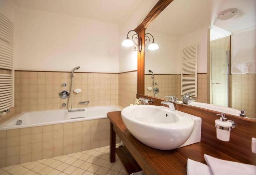 Полулюкс Одноместный с Террасой, Charmehotel Uhrerhof Deur