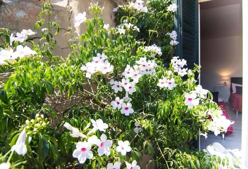 اتاق استاندارد چهار تخته, 7 Rooms