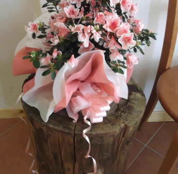 Семейный Номер Superior, B&b Casa Fei