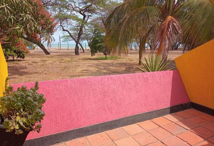 Номер Basic, Gimaura