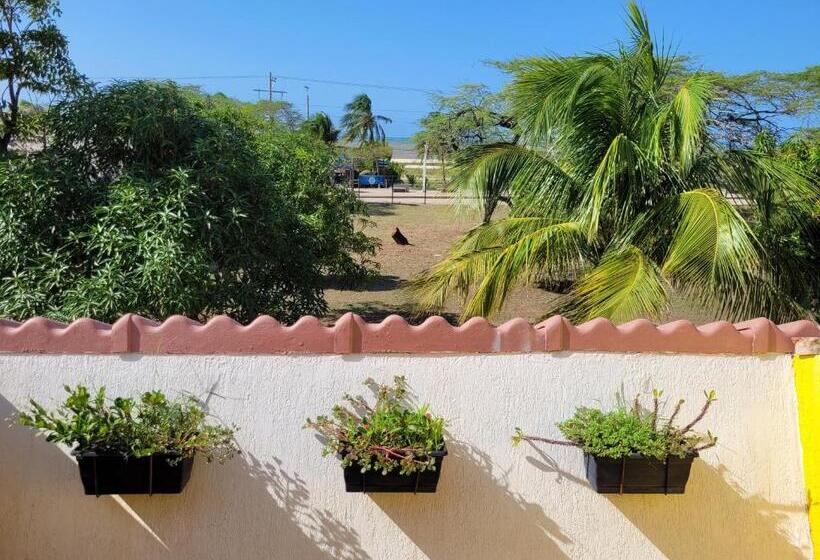 Номер Basic, Gimaura