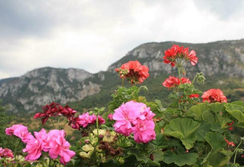 غرفة قياسية ثلاثية, Pensiune Safrane