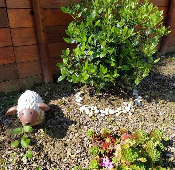 חדר סטנדרט לארבעה, B&b Falcone