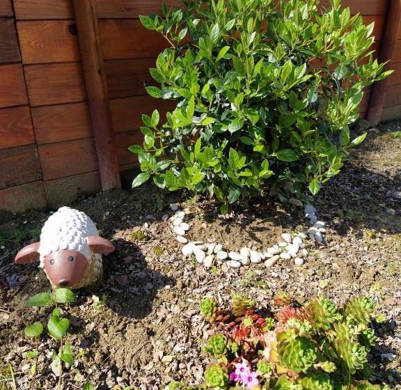 חדר סטנדרט לשלושה, B&b Falcone