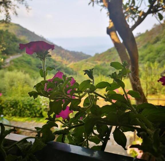 スタンダードルーム, Agriturismo Costa Di Campo