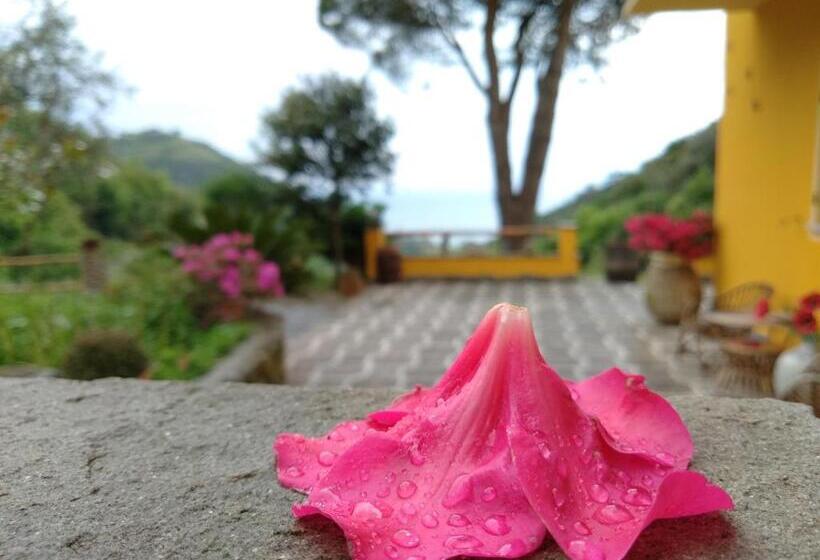 スタンダード４人部屋, Agriturismo Costa Di Campo