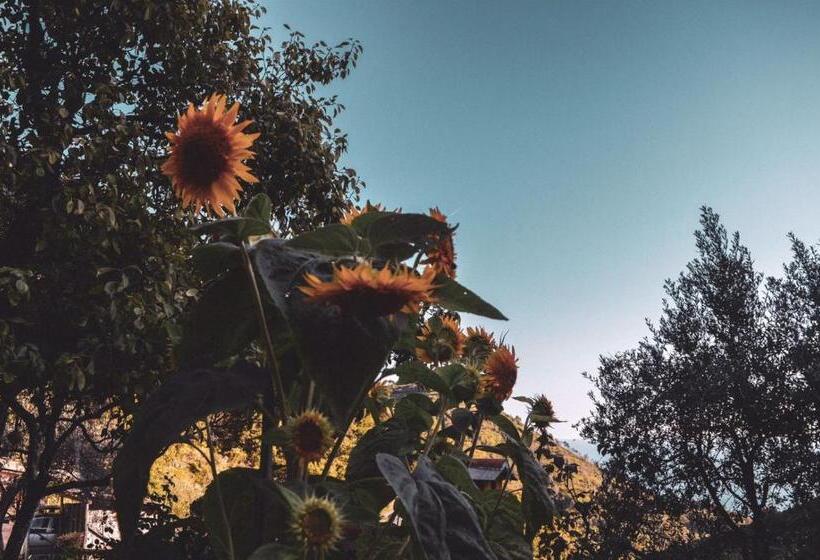 スタンダードルーム, Agriturismo Costa Di Campo