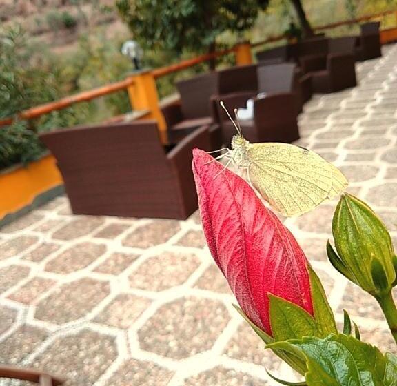 スタンダードルーム, Agriturismo Costa Di Campo