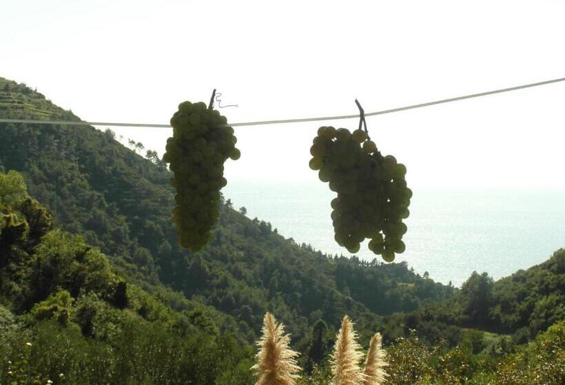 スタンダードルーム, Agriturismo Costa Di Campo