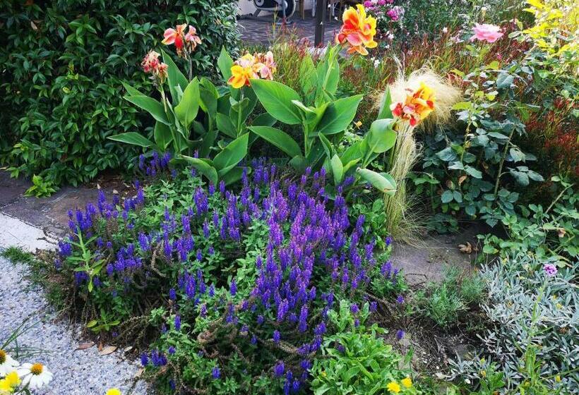 اتاق لوکس چهار تخته, Al Villino Del Sole