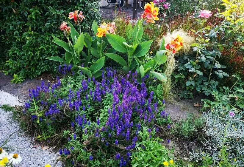 اتاق لوکس چهار تخته, Al Villino Del Sole