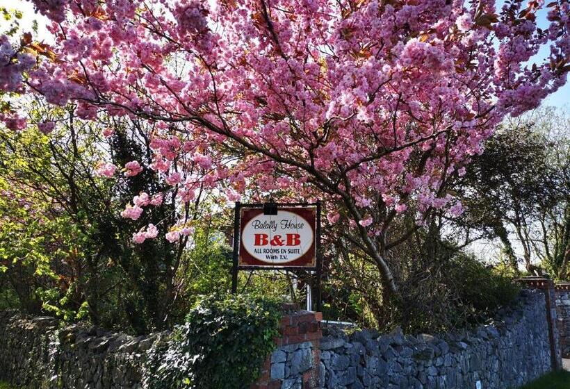 غرفة قياسية, Balally House