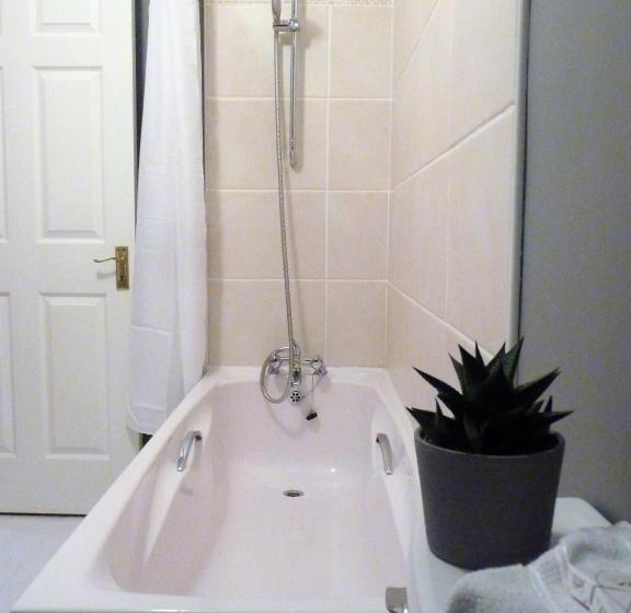 غرفة قياسية, Balally House