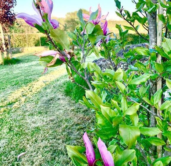 ジュニアスイート, La Corte Di Ronzano