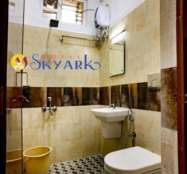 高级大房间, Skyark