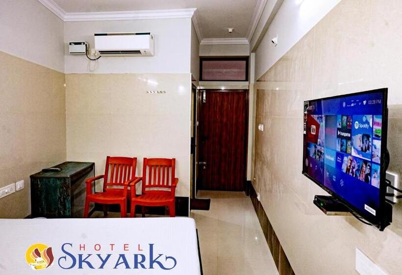 高级大房间, Skyark