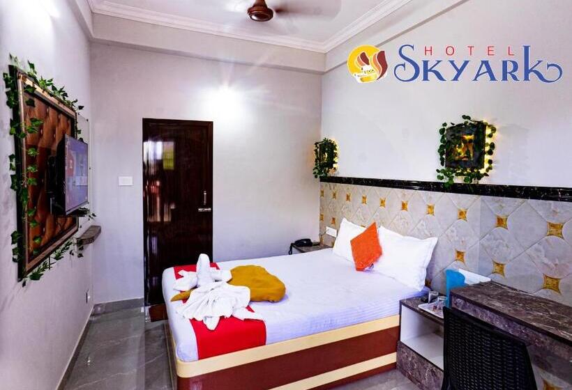 高级大房间, Skyark