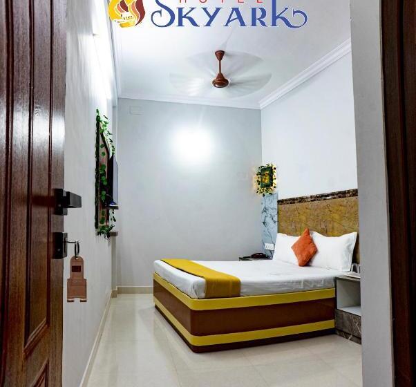 高级大房间, Skyark