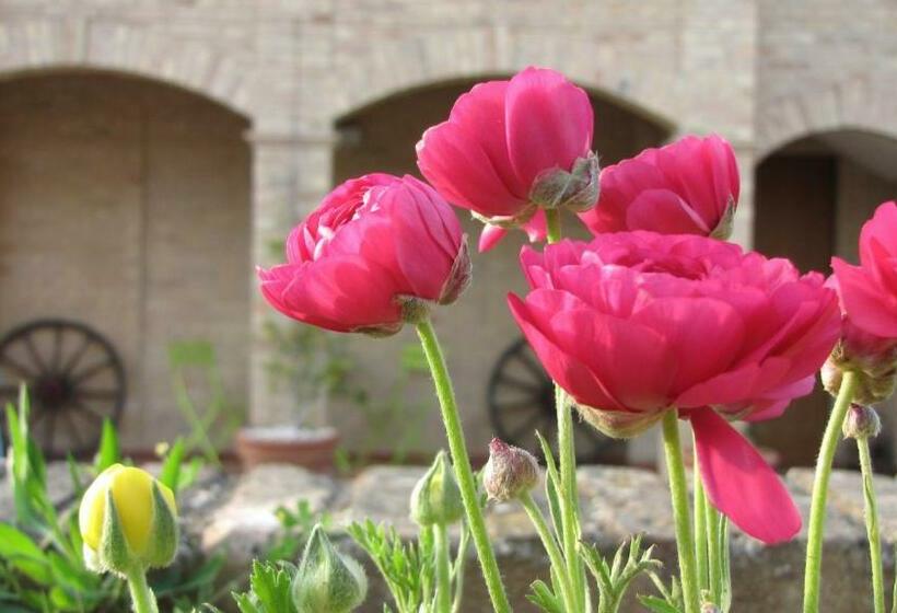 デラックスルーム, Bed And Breakfast Aratro & Rosmarino