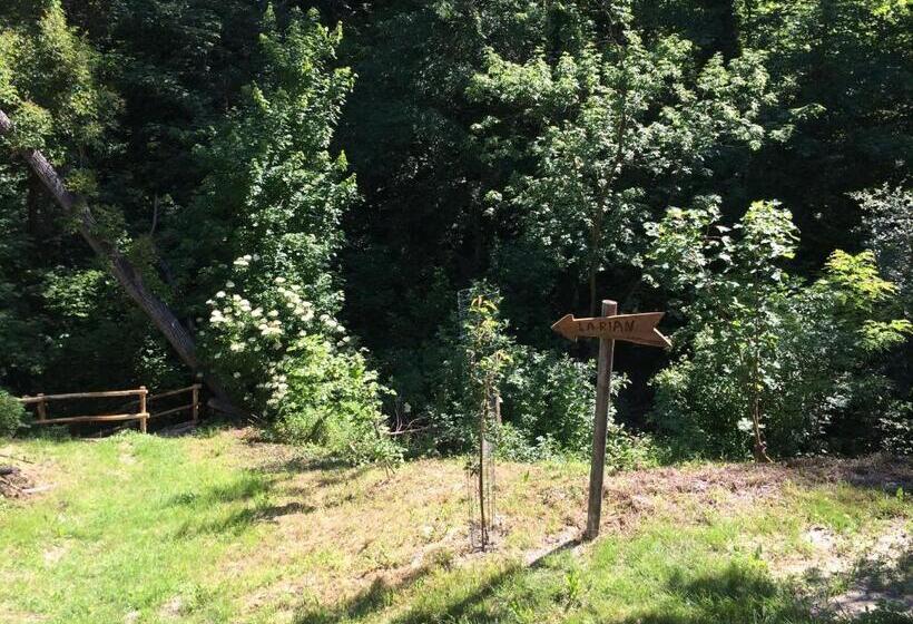 标准间带露台, La Lacia