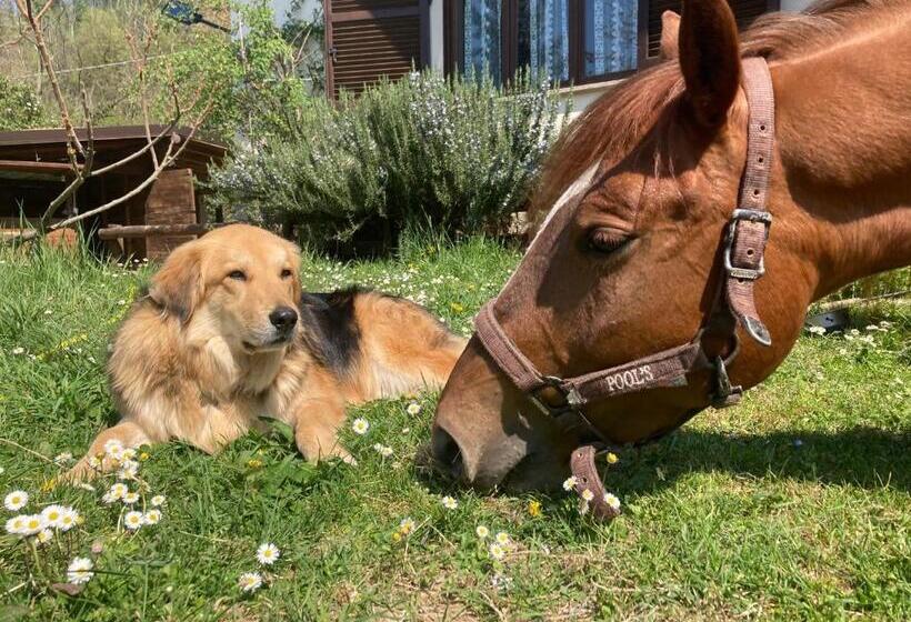 标准间带露台, La Lacia