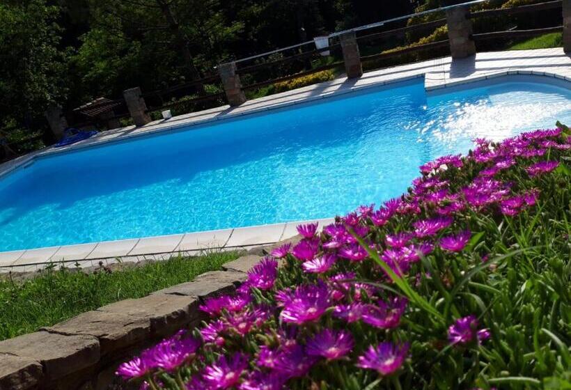 标准间带露台, La Lacia