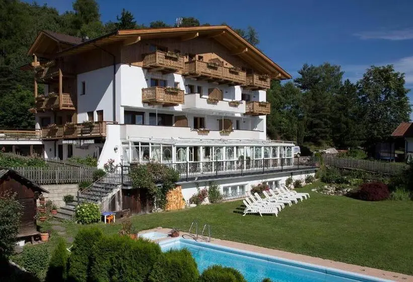 Standard Yhden Hengen Huone, Naturhotel Edelweiss