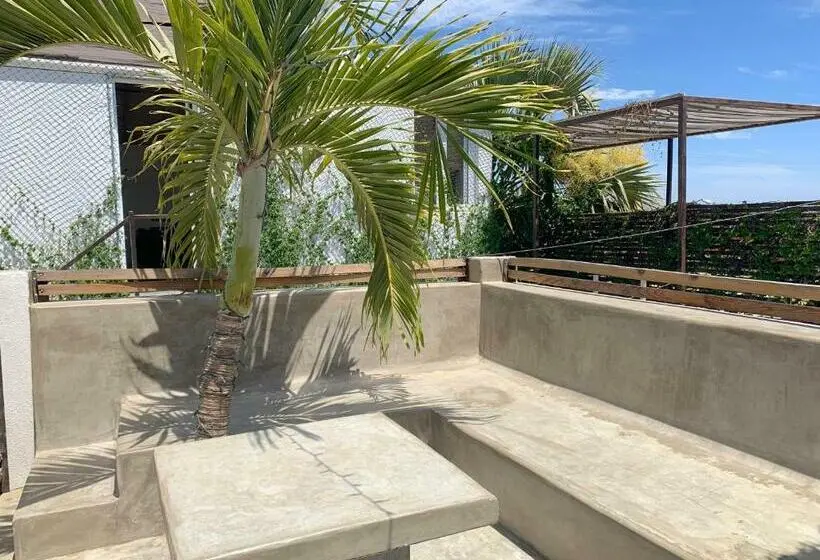 Standard-studio, Perro Surfero Todos Santos