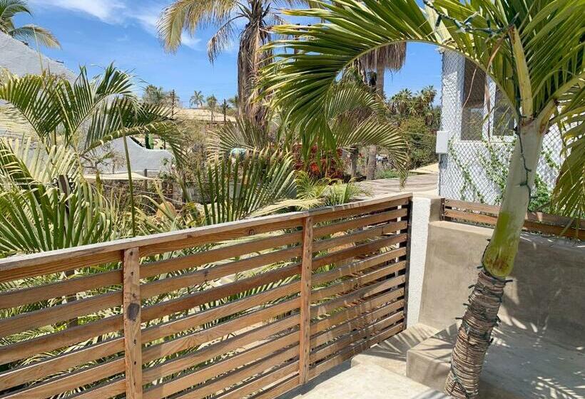 스탠다드 스튜디오, Perro Surfero Todos Santos