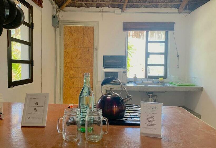 스탠다드 스튜디오, Perro Surfero Todos Santos