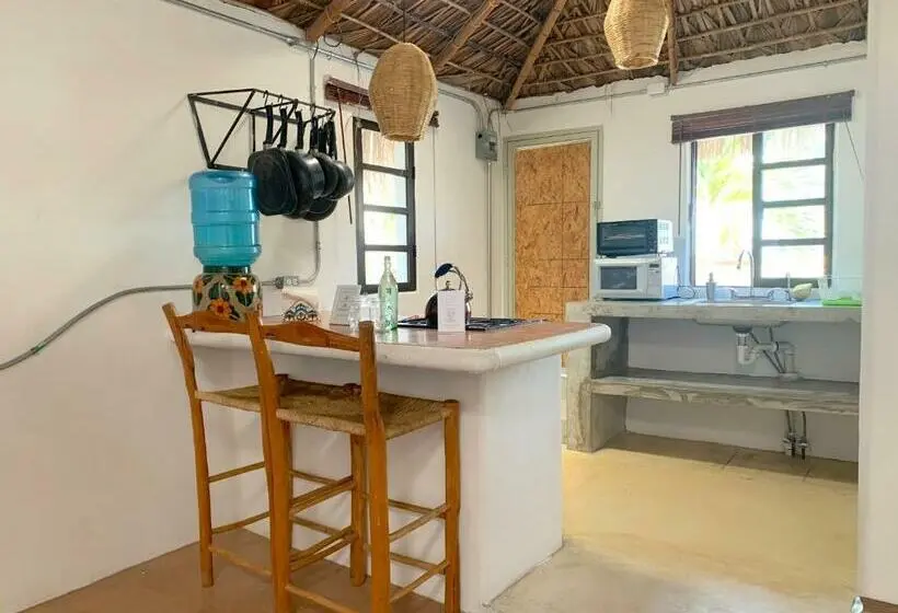 Standard-studio, Perro Surfero Todos Santos