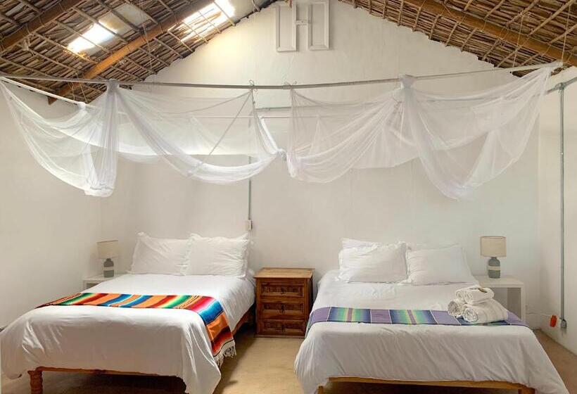 스탠다드 스튜디오, Perro Surfero Todos Santos