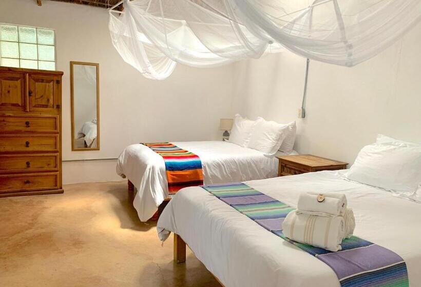 스탠다드 스튜디오, Perro Surfero Todos Santos