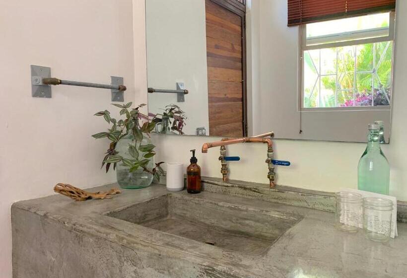 스탠다드 룸 킹사이즈 침대, Perro Surfero Todos Santos