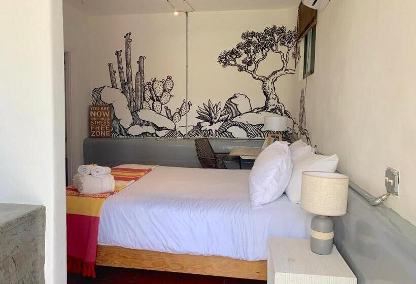 带大床的标准间, Perro Surfero Todos Santos