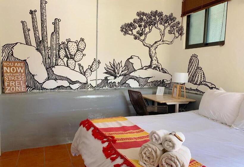 스탠다드 룸 킹사이즈 침대, Perro Surfero Todos Santos